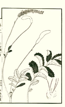 photo24.jpg