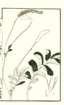 photo24_small.jpg