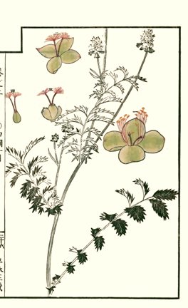 photo25.jpg