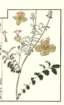 photo25_small.jpg