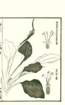 photo26_small.jpg