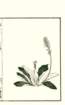 photo27_small.jpg