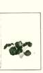 photo29_small.jpg