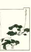 photo30_small.jpg