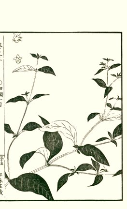 photo34.jpg