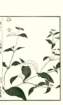 photo34_small.jpg