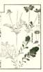 photo36_small.jpg