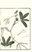photo39_small.jpg