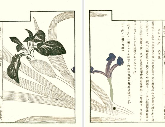 photo4.jpg