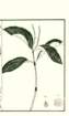 photo48_small.jpg
