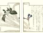 photo4_small.jpg