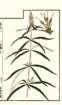 photo50_small.jpg