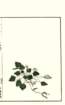 photo53_small.jpg