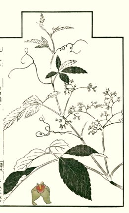 photo57.jpg