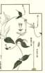 photo58_small.jpg