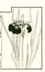 photo5_small.jpg