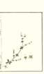 photo61_small.jpg