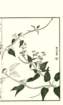 photo63_small.jpg