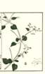 photo64_small.jpg