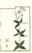 photo66_small.jpg