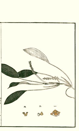 photo72.jpg