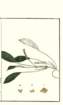 photo72_small.jpg