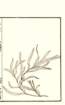 photo75_small.jpg