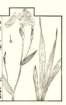 photo8_small.jpg