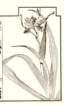 photo9_small.jpg