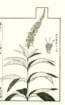 photo12_small.jpg