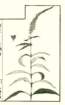 photo14_small.jpg
