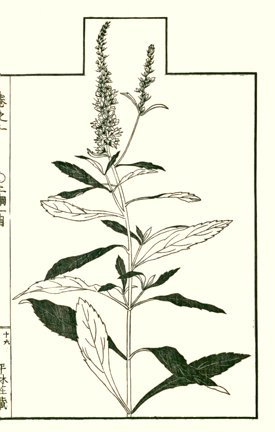 photo15.jpg