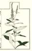 photo15_small.jpg