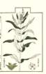 photo16_small.jpg