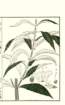 photo17_small.jpg
