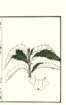 photo18_small.jpg