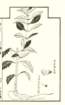 photo19_small.jpg