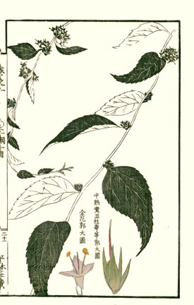 photo20.jpg