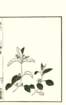 photo22_small.jpg