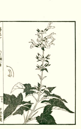 photo26.jpg