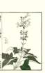photo26_small.jpg