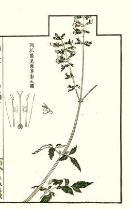 photo28.jpg