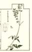 photo28_small.jpg