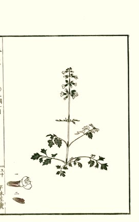 photo29.jpg