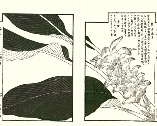 photo3.jpg