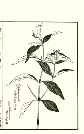 photo32.jpg