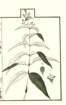 photo36_small.jpg