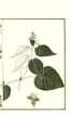 photo37_small.jpg