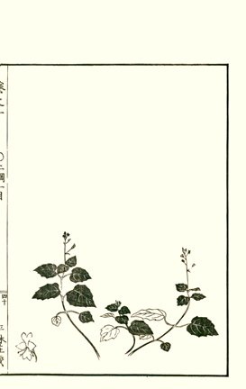 photo39.jpg