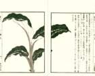 photo6_small.jpg